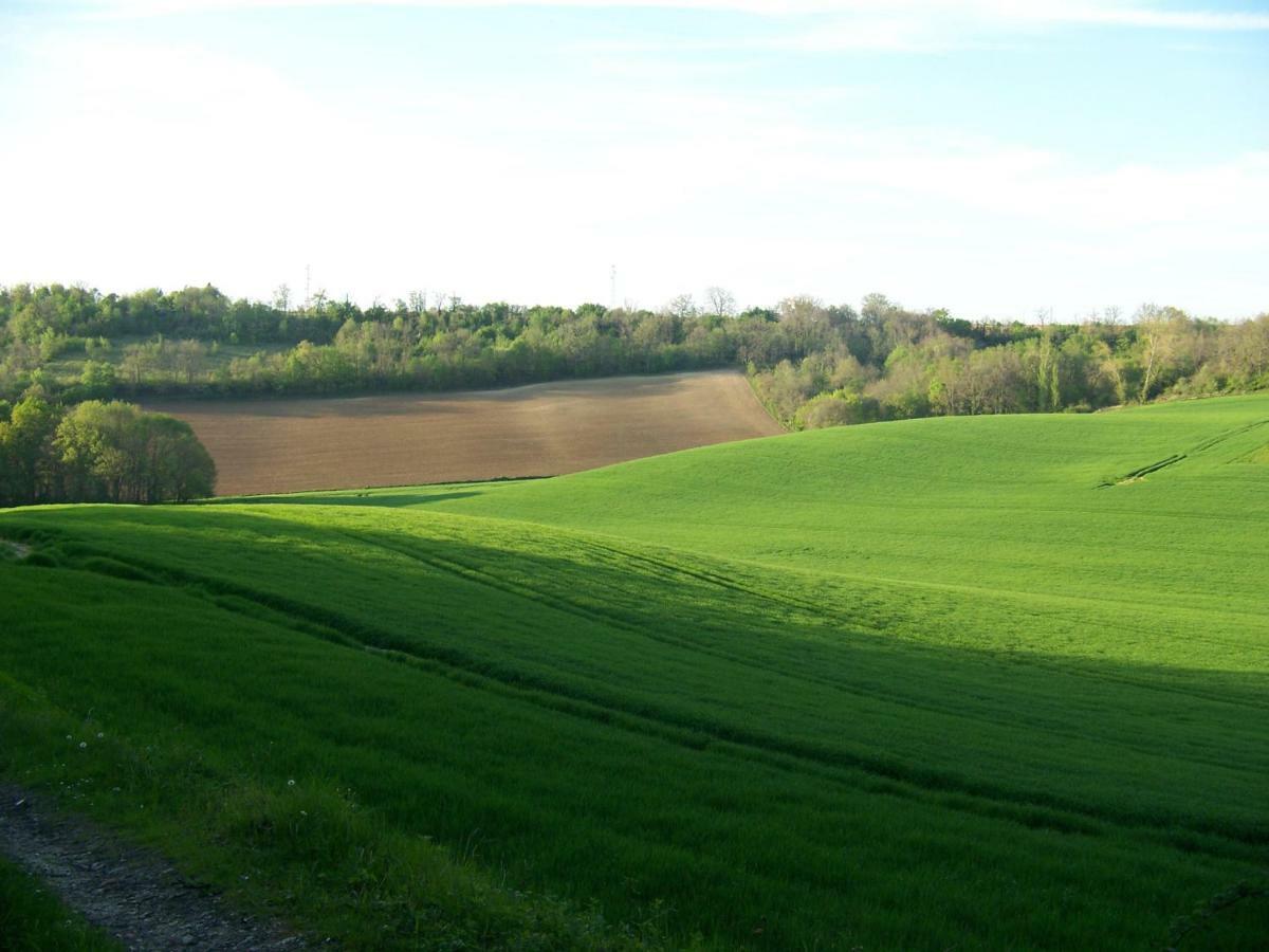 Loustalneou Bed & Breakfast Saint-Pierre-de-Clairac ภายนอก รูปภาพ